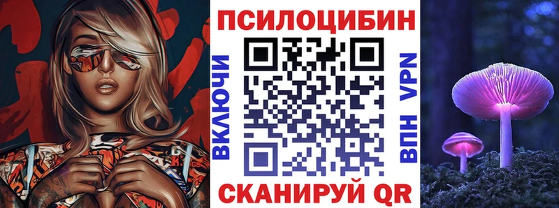 продажа наркотиков  Уржум  Галлюциногенные грибы Psilocybine cubensis 